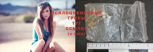 дживик Арсеньев