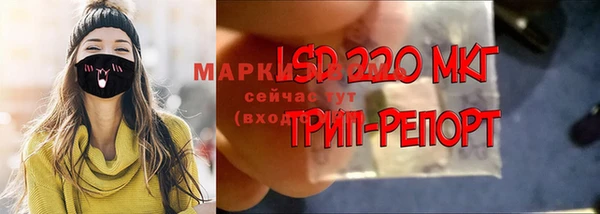 дживик Арсеньев