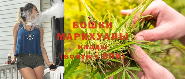 дживик Арсеньев